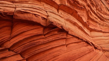 La belleza de sus pliegues