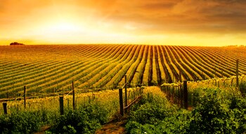 Las cabañuelas: una antigua sabiduría