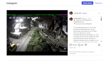 Familiares de la víctima pidieron identificar a las dos personas que aparecen en el video del ataque - crédito @camila_j251/Instagram