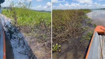 La Alcaldía anunció una denuncia penal contra Ecopetrol por presunto daño a los recursos naturales y contaminación ambiental - crédito Captura video