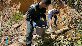 Análisis indican acidez y concentraciones de hierro y sulfatos en una quebrada cercana a una mina abandonada en Panamá