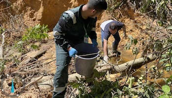 Funcionarios de Ambiente recogieron muestras en una quebrada cercana, y la entidad solicitó reforzar el control de las fuentes y los sistemas ubicados aguas abajo. (MiAmbiente)