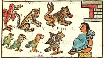 “Monstruos” deformes, albinos y enanos: