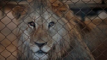 Sergio Federovisky, vice ministro de