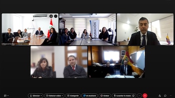 Captura de pantalla de una videollamada dividida en cinco recuadros con representantes de instituciones en sus respectivas oficinas