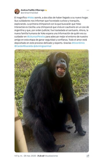 Trino de la senadora Andrea