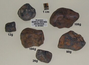 Fragmentos del meteorito "La Criolla",