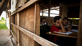 La educación, el arma que