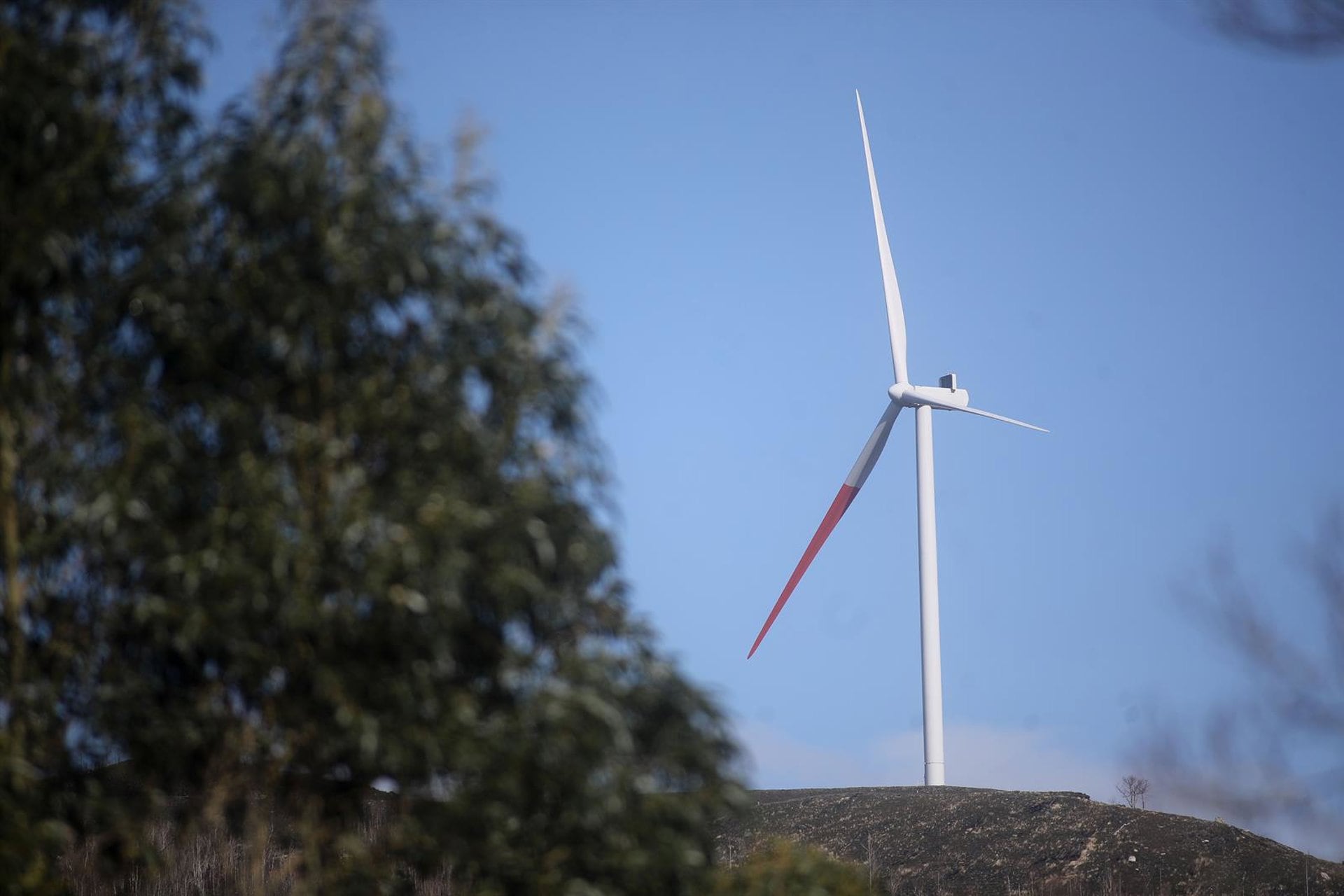 EEUU podría embargar bienes del Estado español por el impago de ayudas a empresas de energías renovables (Carlos Castro - Europa Press)