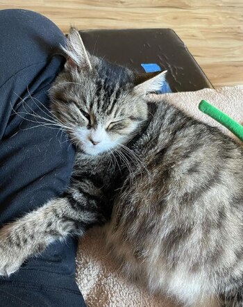 Debbie recibió una segunda oportunidad