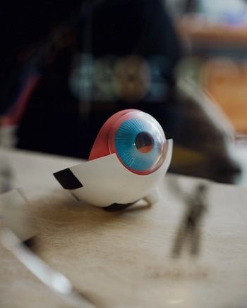 Modelo anatómico de un ojo humano de color blanco, rojo y azul en una superficie clara. El modelo está abierto