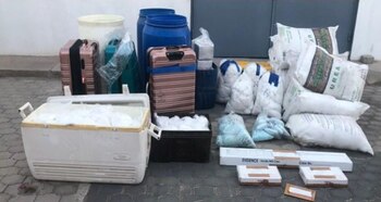 La Sedena informó sobre el