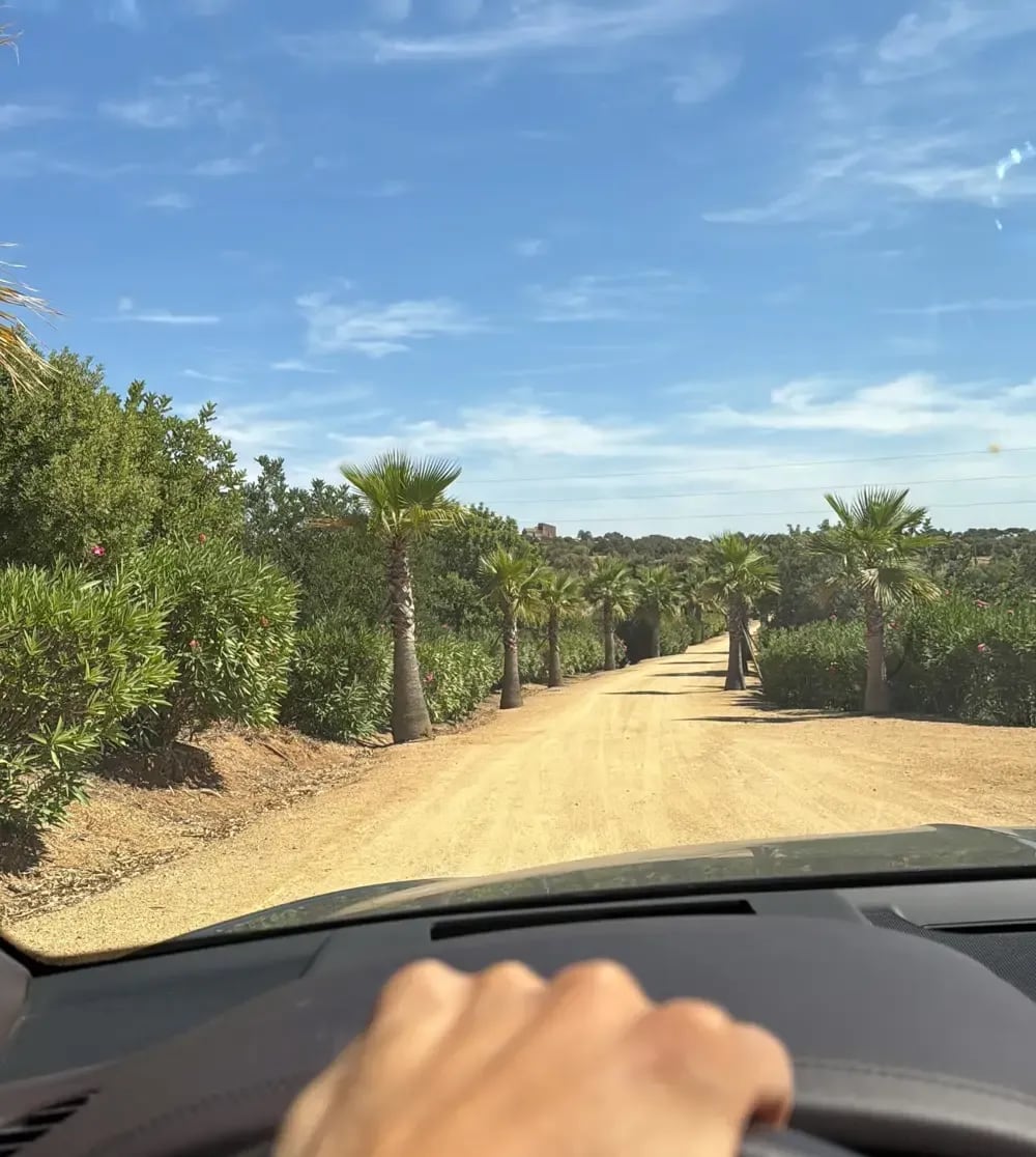 Finca La Consentida de Andrés Roca Rey en Gerena, Sevilla (INSTAGRAM).