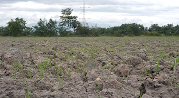 Honduras prepara un programa de estimulación de nubes para intentar aumentar las precipitaciones en zonas con déficit hídrico.
