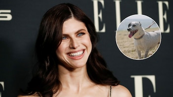“Amar a un perro es algo especial”: Alexandra Daddario reveló el profundo vínculo con Eunice, su mascota rescatada