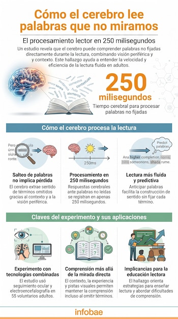 Infografía con ilustraciones de un cerebro, un libro abierto y diagramas que explican el procesamiento de palabras no leídas, movimientos oculares y actividad cerebral.