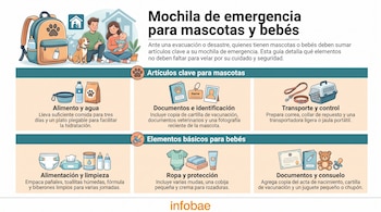 Ilustración de una familia con mascota y bebé junto a una mochila, y recuadros con iconos de comida, documentos, jaula, pañales, ropa y juguetes.