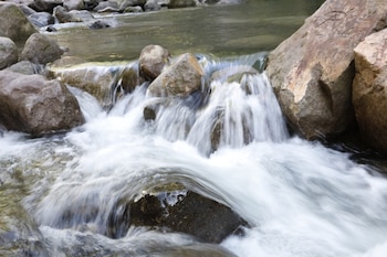 Edición panameña pondrá al país como sede de un debate internacional sobre la relación entre biodiversidad, clima, desarrollo y bienestar de las poblaciones vinculadas a los territorios conservados. (MiAmbiente)