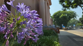 Gorriarena, Maza y un viaje