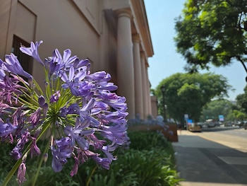 El Museo Nacional de Bellas