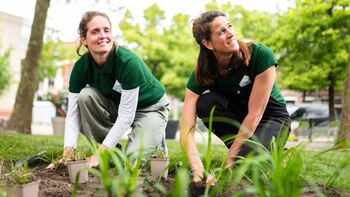 Fuertes lluvias y períodos de