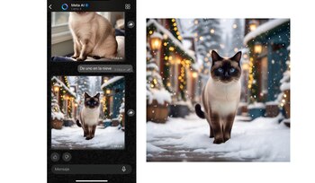 Los usuarios le pueden pedir