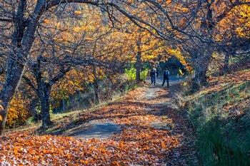 Ruta de senderismo por las