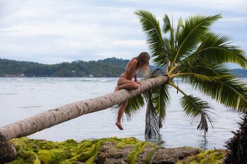 El 96% manifestó que les