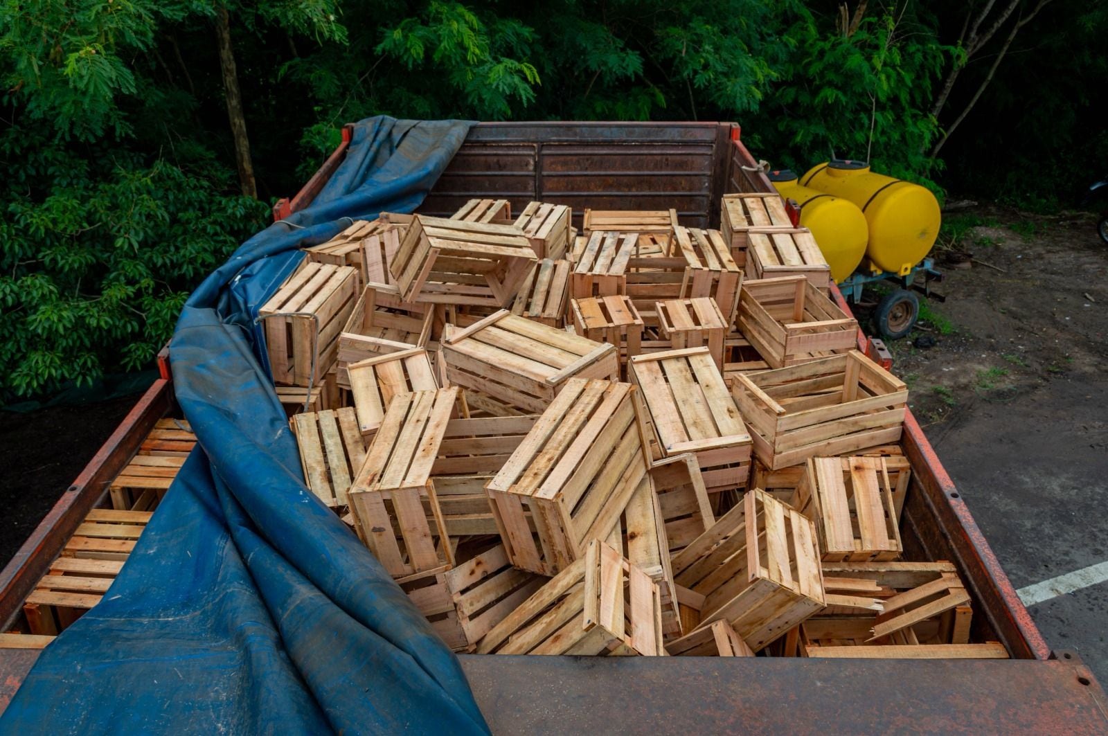 La Unidad Fiscal Federal de Resistencia ordenó la detención del chofer, quien quedó a disposición de la justicia federal