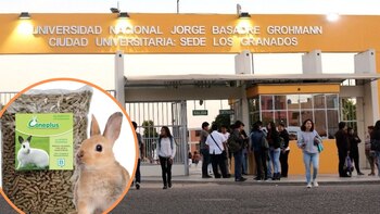 Detienen a dos docentes universitarios