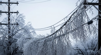 Las autoridades estatales y nacionales