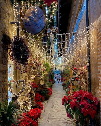 Foto: @mssmalagon / IG.