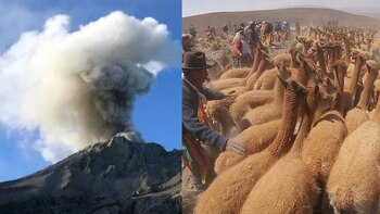 Las cenizas y gases emitidos