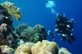 Un miembro del equipo de