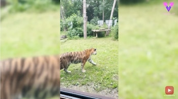 15-09-2021 Este hotel de Reino