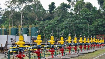 Ecuador vota un histórico plebiscito