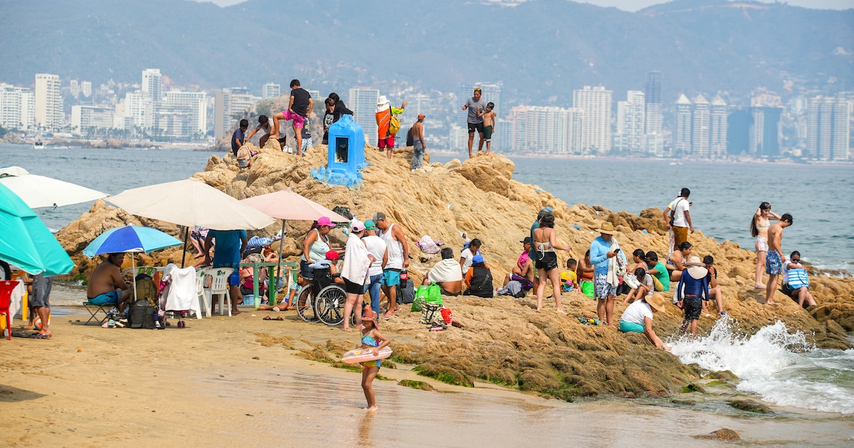 Tonic Fest se pospone en Acapulco por condiciones climáticas; El Malilla, Paulina Rubio y más, entre los artistas afectados Tonic Fest se pospone en Acapulco por condiciones climáticas; El Malilla, Paulina Rubio y más, entre los artistas afectados