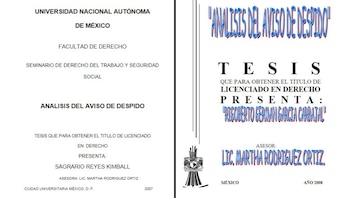 Otras tesis dirigidas por Rodríguez