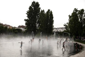 Greenpeace denuncia que más del