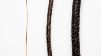 Tres hebras de cabello colocadas en posición vertical sobre un fondo blanco, alineadas por grosor delgado, mediano y grueso.