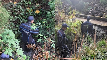 Efectivos de la Policía de Río Negro coordinan el rastrillaje en la zona del kilómetro 6 de Bariloche