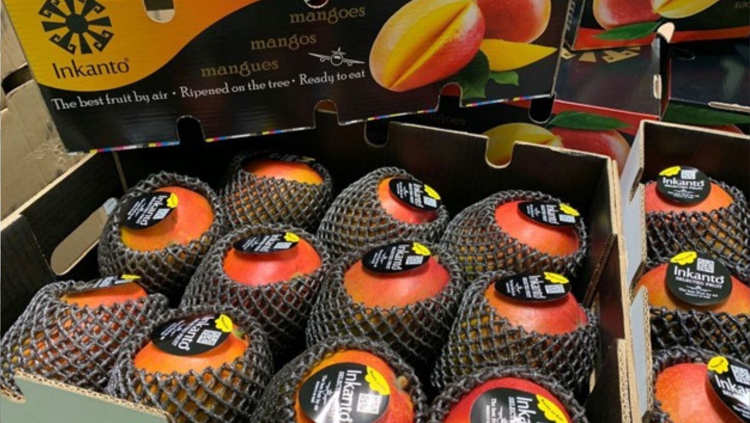 Grandes grupos agroindustriales como Grupo Gloria y Grupo Romero (Alicorp) podrán acogerse a incentivos fiscales si cumplen requisitos de ingresos agrícolas