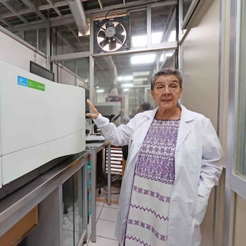 El Instituto Politécnico Nacional desplegó una red de monitoreo para medir gases tóxicos del sargazo en Cancún, Playa del Carmen, Akumal y Mahahual. | (Crédito: IPN)