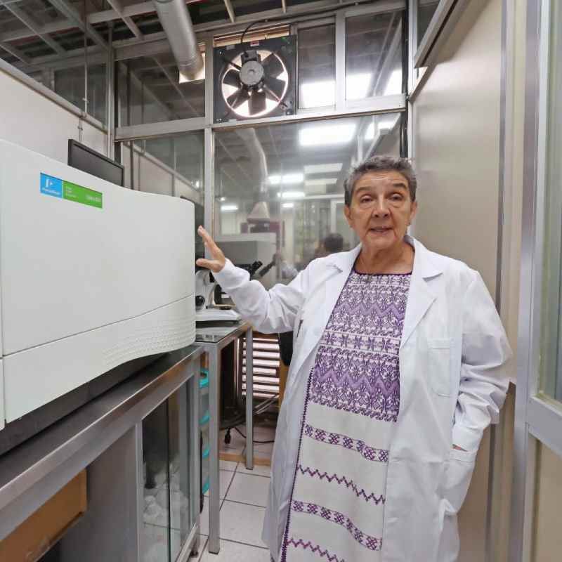 El Instituto Politécnico Nacional desplegó una red de monitoreo para medir gases tóxicos del sargazo en Cancún, Playa del Carmen, Akumal y Mahahual. | (Crédito: IPN)