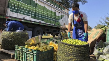 Mercado Mayorista de Lima - mercados - agricultura