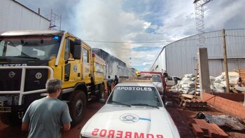 Alertan por las pérdidas millonarias