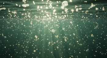 Una escena subacuática muestra el agua oscura de un lago con innumerables partículas claras y luminosas flotando. La luz solar incide desde la superficie.
