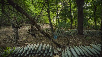 Crimea sofoca el incendio de