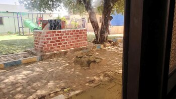 Mohammed Abdel Rahman, director de