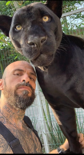 FOTO: IG @noche_cartel